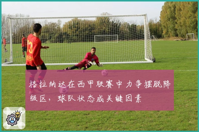 格拉纳达在西甲联赛中力争摆脱降级区，球队状态成关键因素