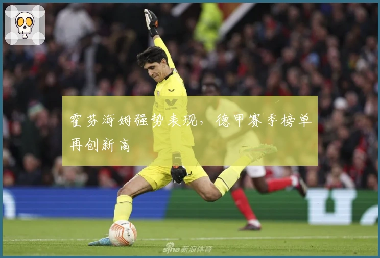 霍芬海姆强势表现，德甲赛季榜单再创新高
