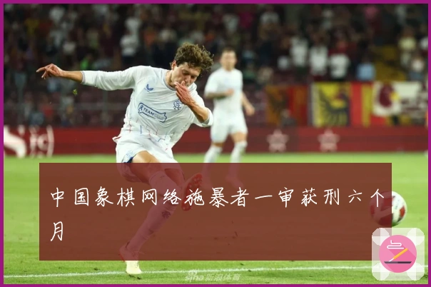 中国象棋网络施暴者一审获刑六个月